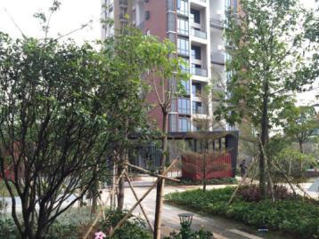 图 深圳市源远水利设计水土保持水利园林边坡绿化 深圳工装装修