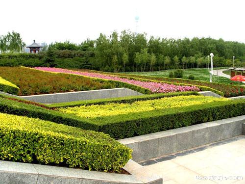 重庆园林绿化公司园林绿化美墅建筑设计